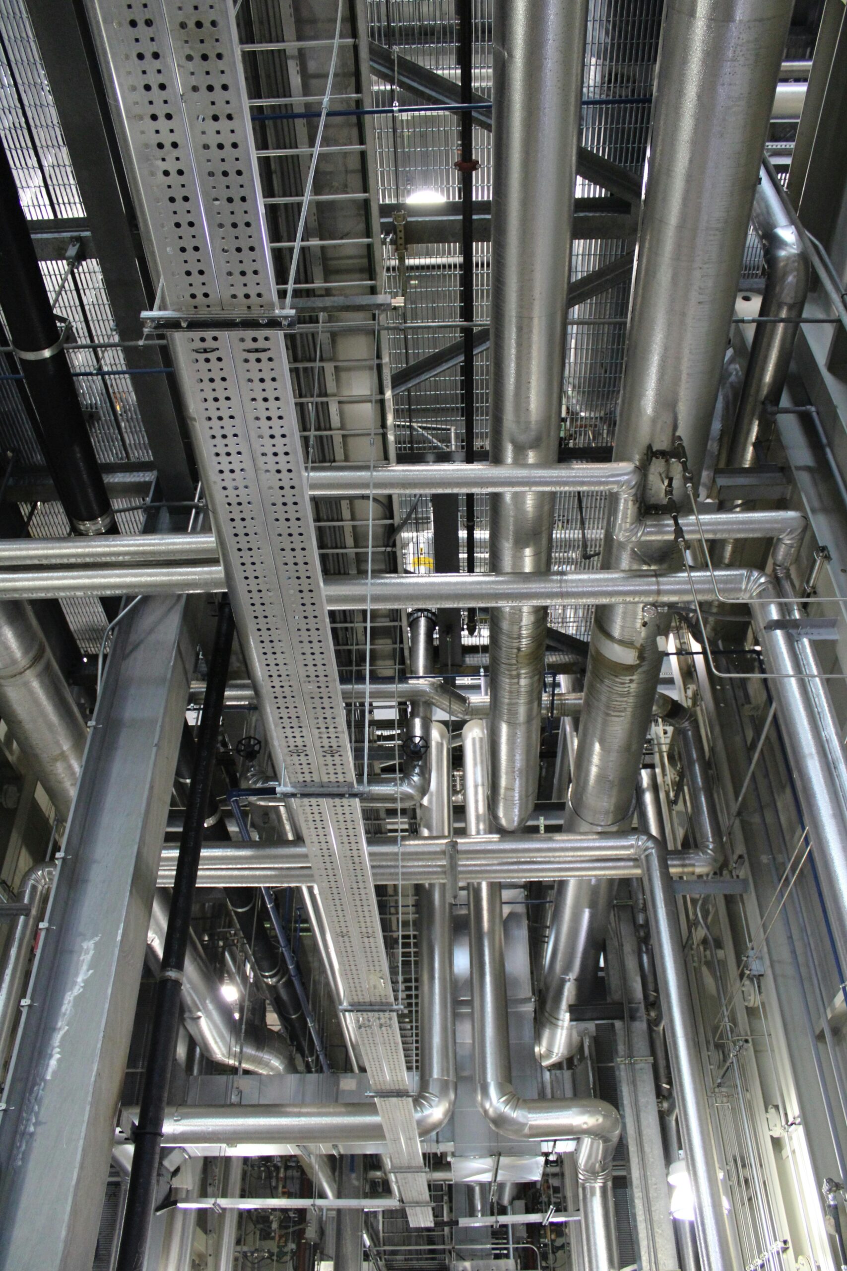 pexels lillian 12658691